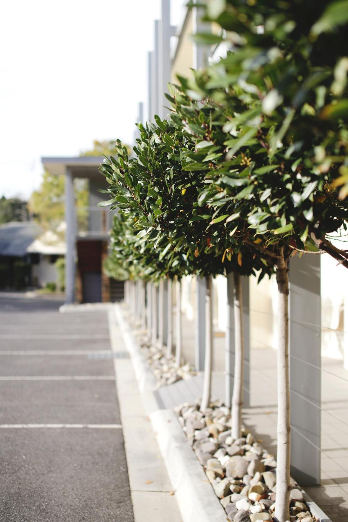 Hotel Brooklands Of Mornington Exterior foto